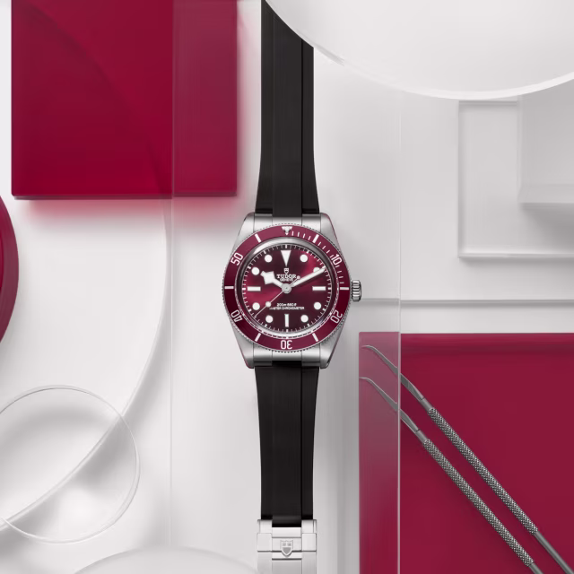 Tudor Black Bay 58 — sfeerbeeld